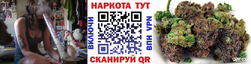 Купить наркоту Ирбит ГАШ  Alpha-PVP  Меф  гидра сайт  Псилоцибиновые грибы  МДМА  COCAIN  Каннабис 