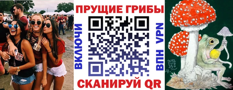 Галлюциногенные грибы мухоморы  блэк спрут вход  Ирбит  где продают наркотики 